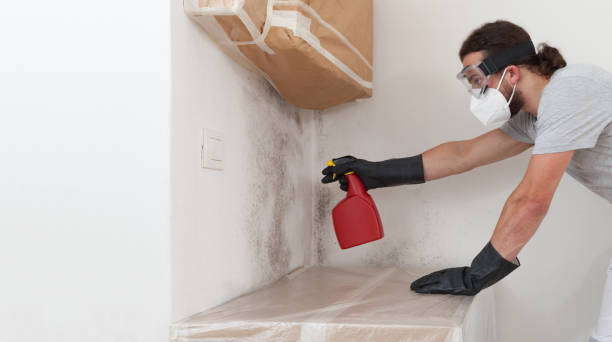 Professional Mold Removal technician working in Roslyn Heights, NY